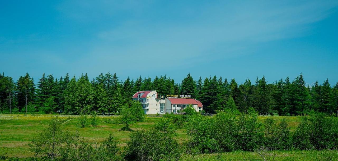 Hotel Tsiskari Ianet'i ภายนอก รูปภาพ